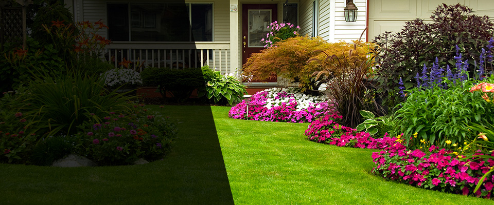 Blue Ridge Landscapers