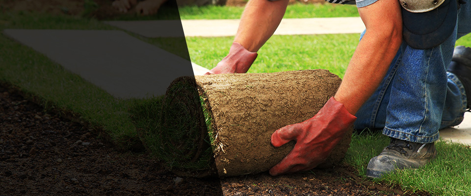 Blue Ridge Landscapers